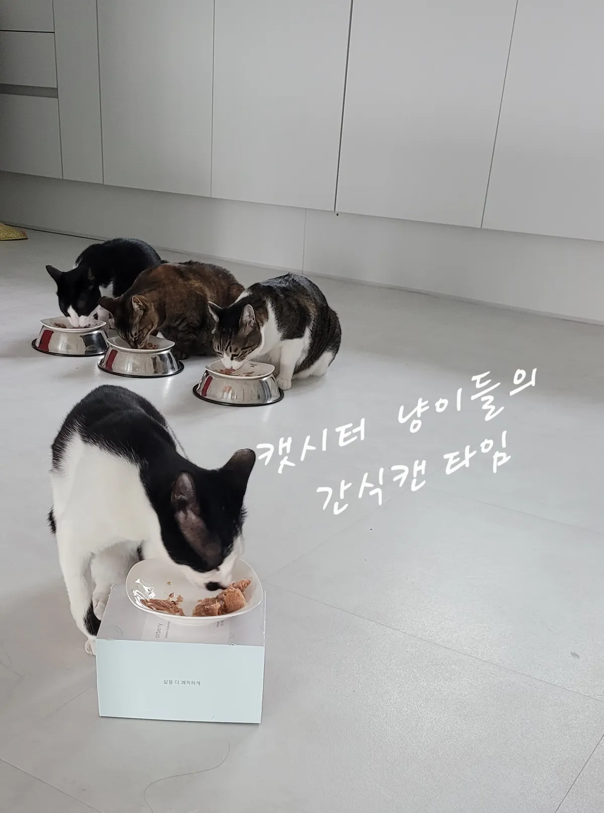 이미지 9