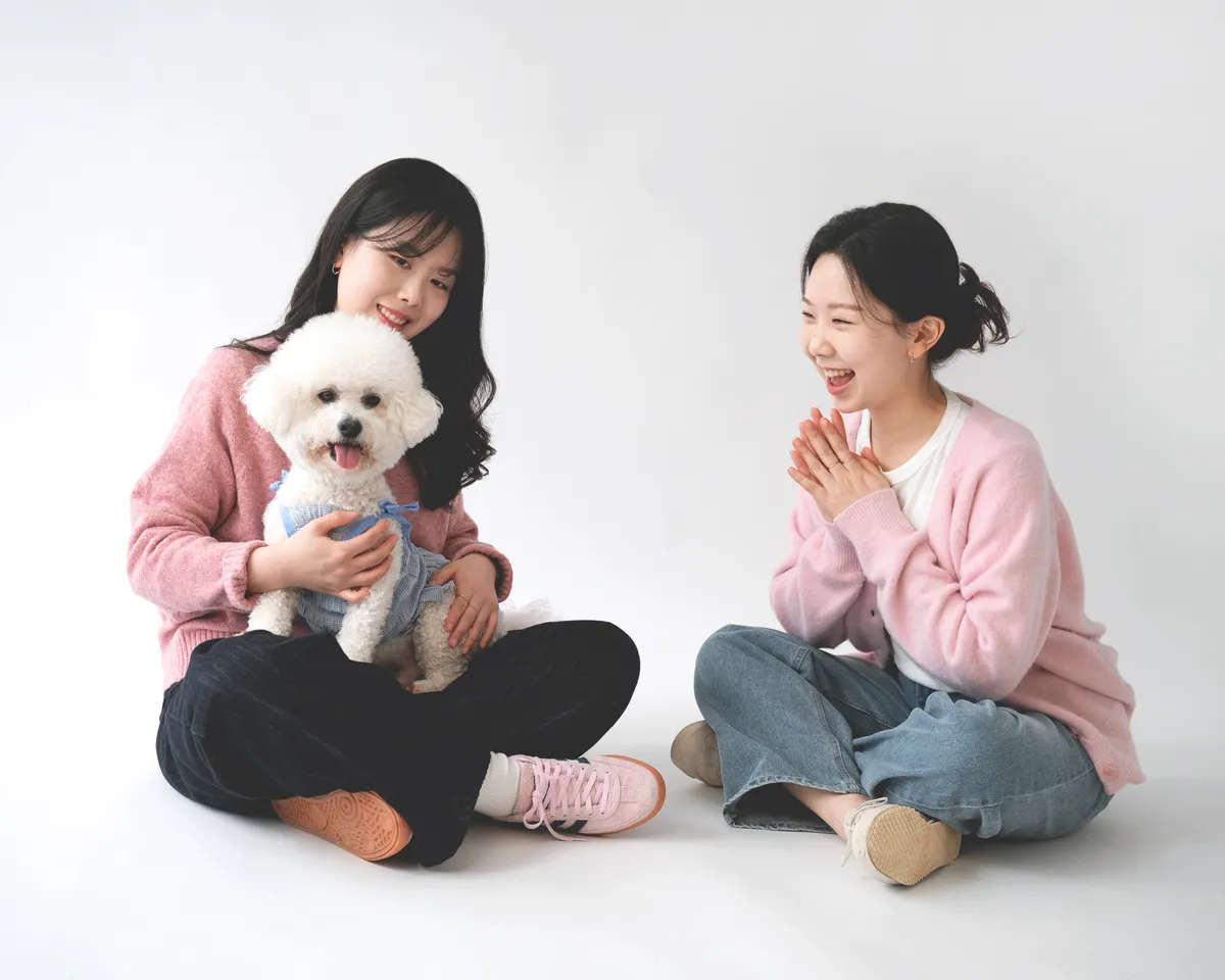 이미지 4