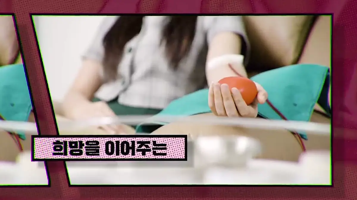 이미지 6