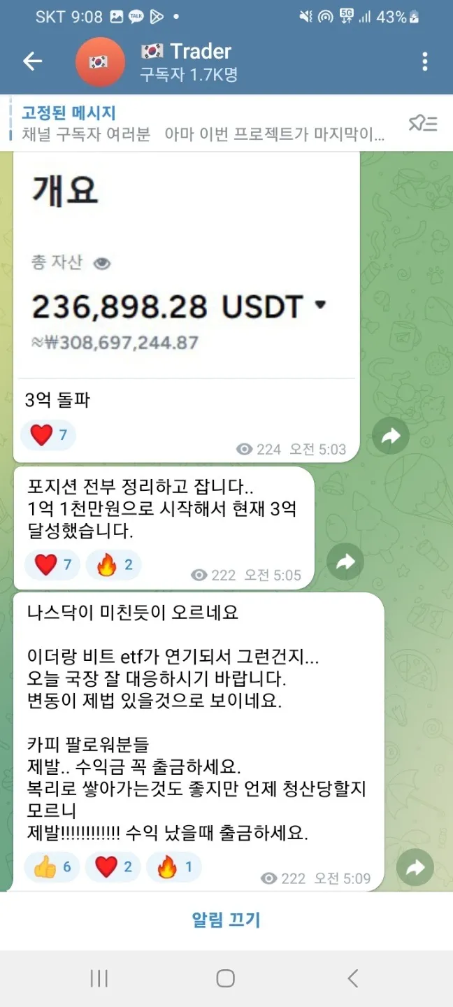 이미지 5