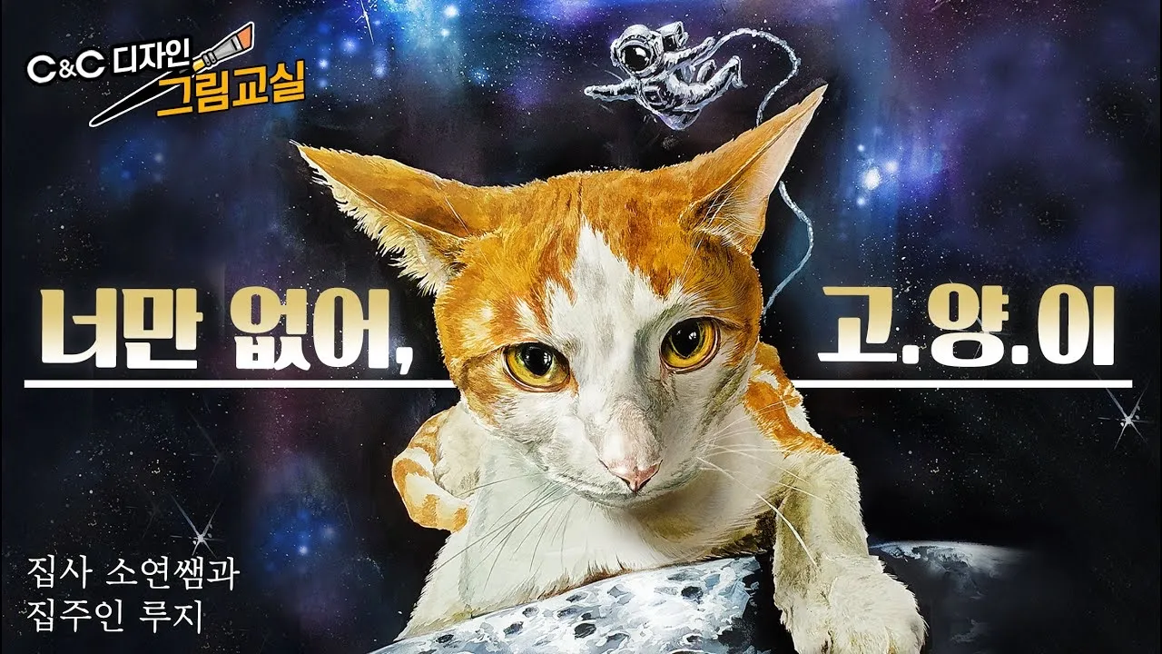 이미지 11