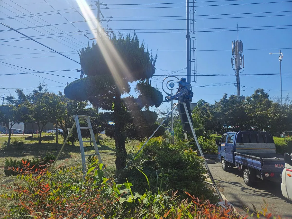 포트폴리오 이미지