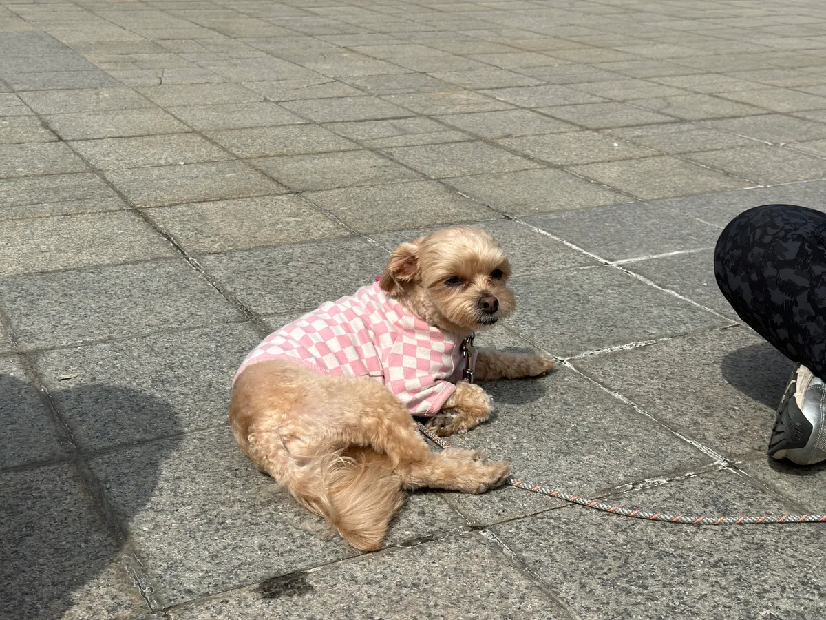 이미지 6