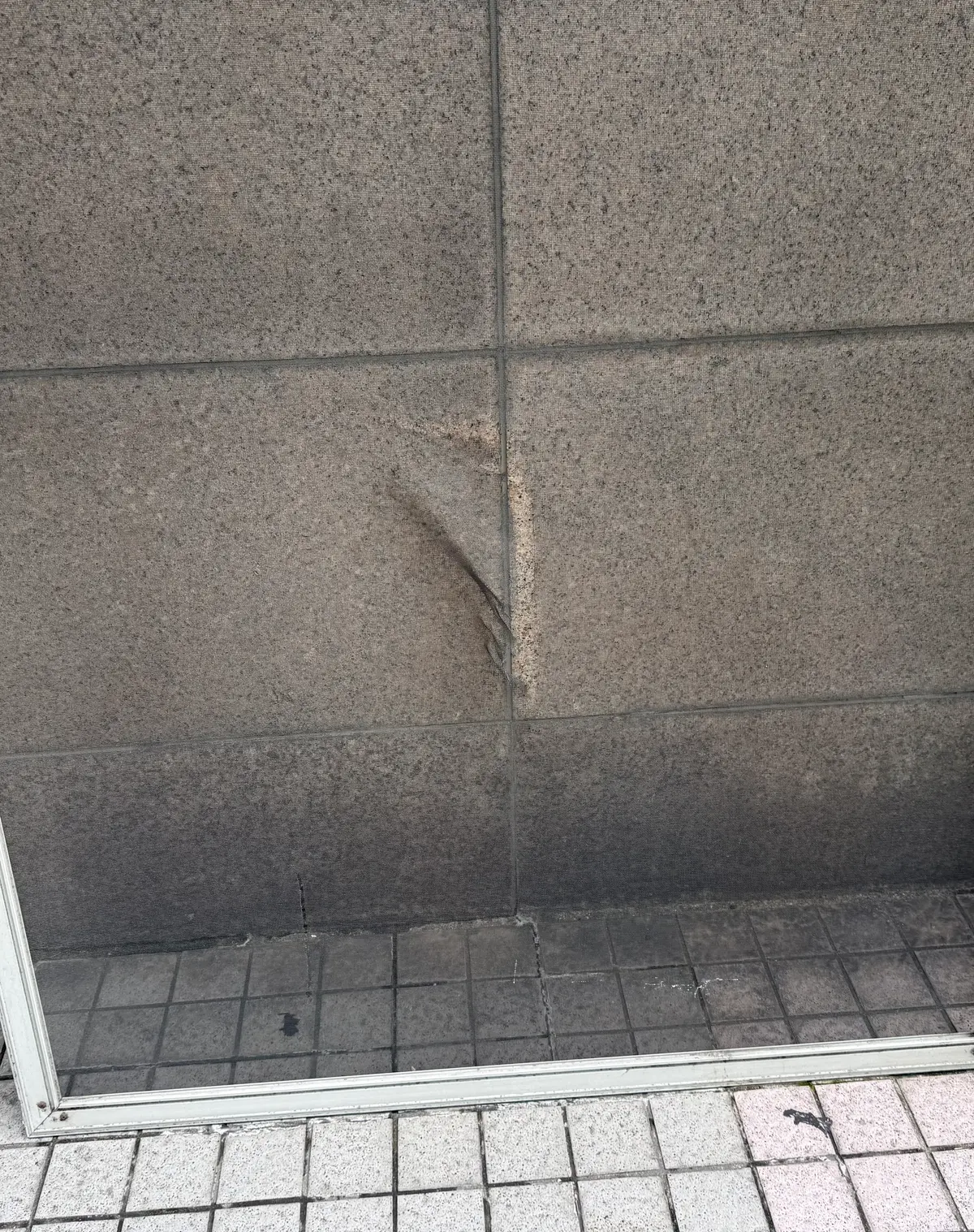이미지 6