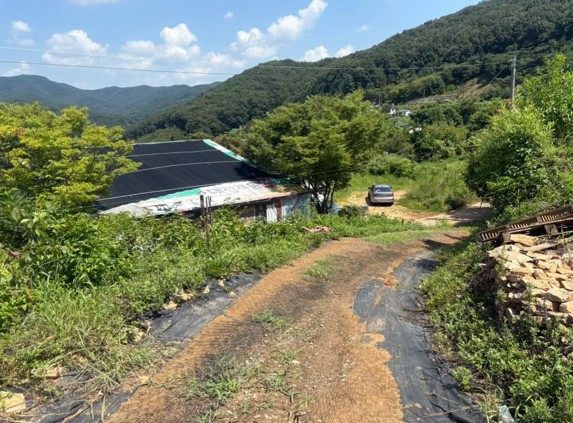 이미지 2