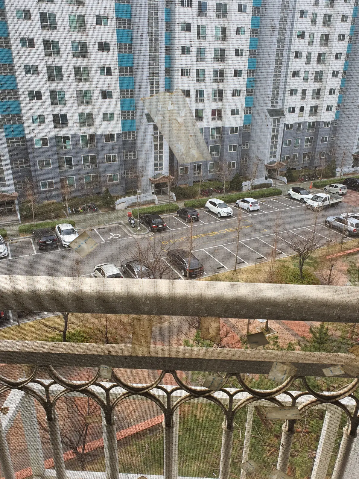 이미지 6
