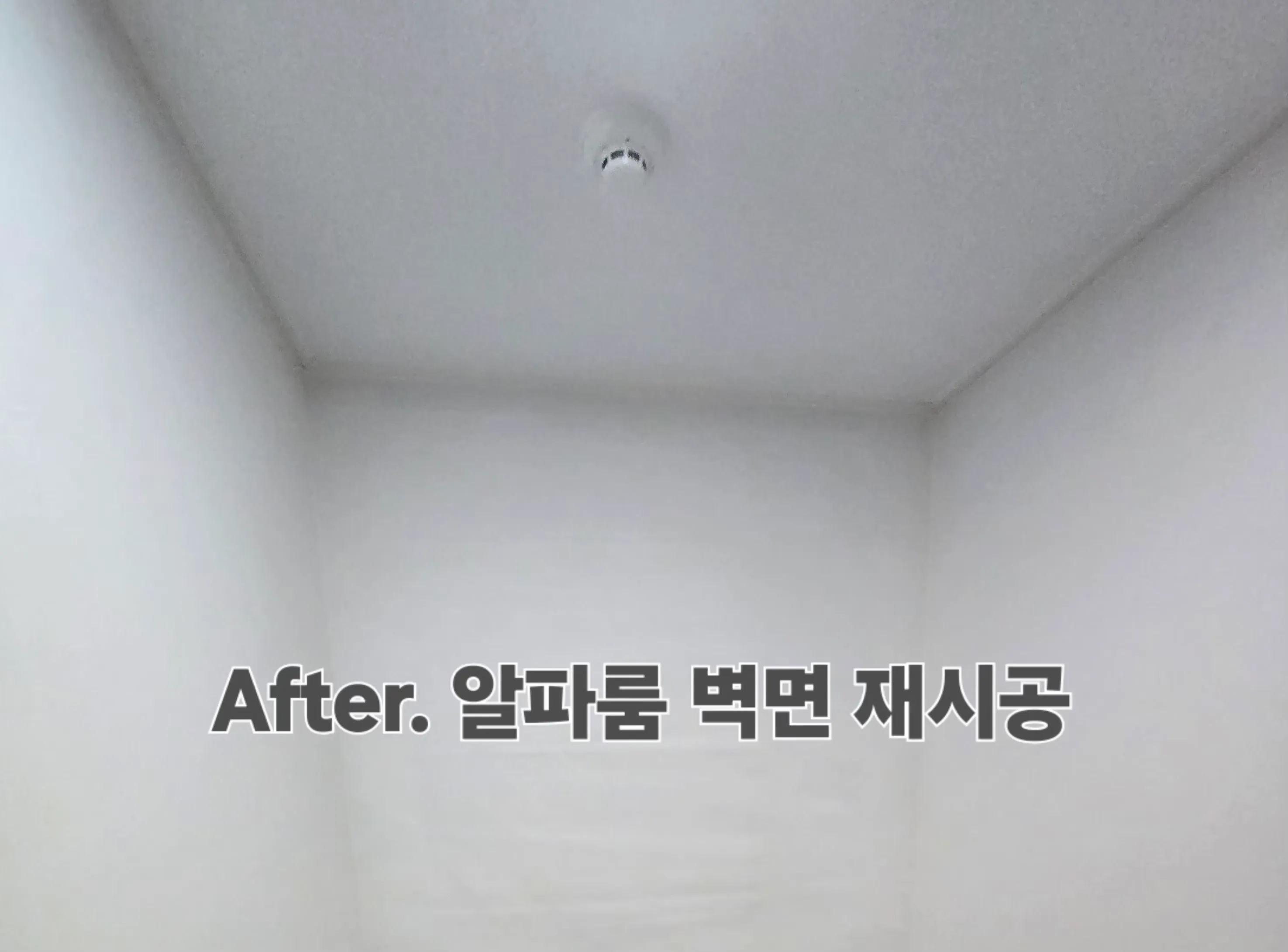 이미지 6