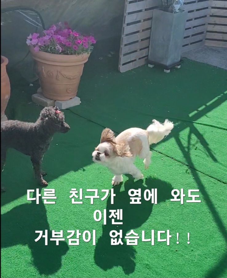 이미지 8
