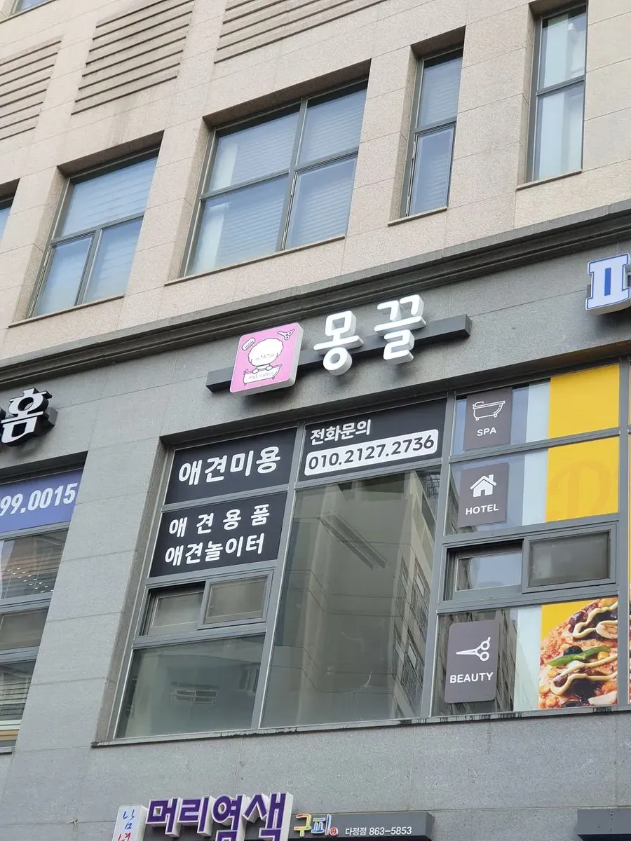 이미지 3