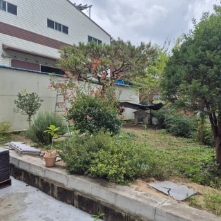 김해 진영 공장 정원관리 작업