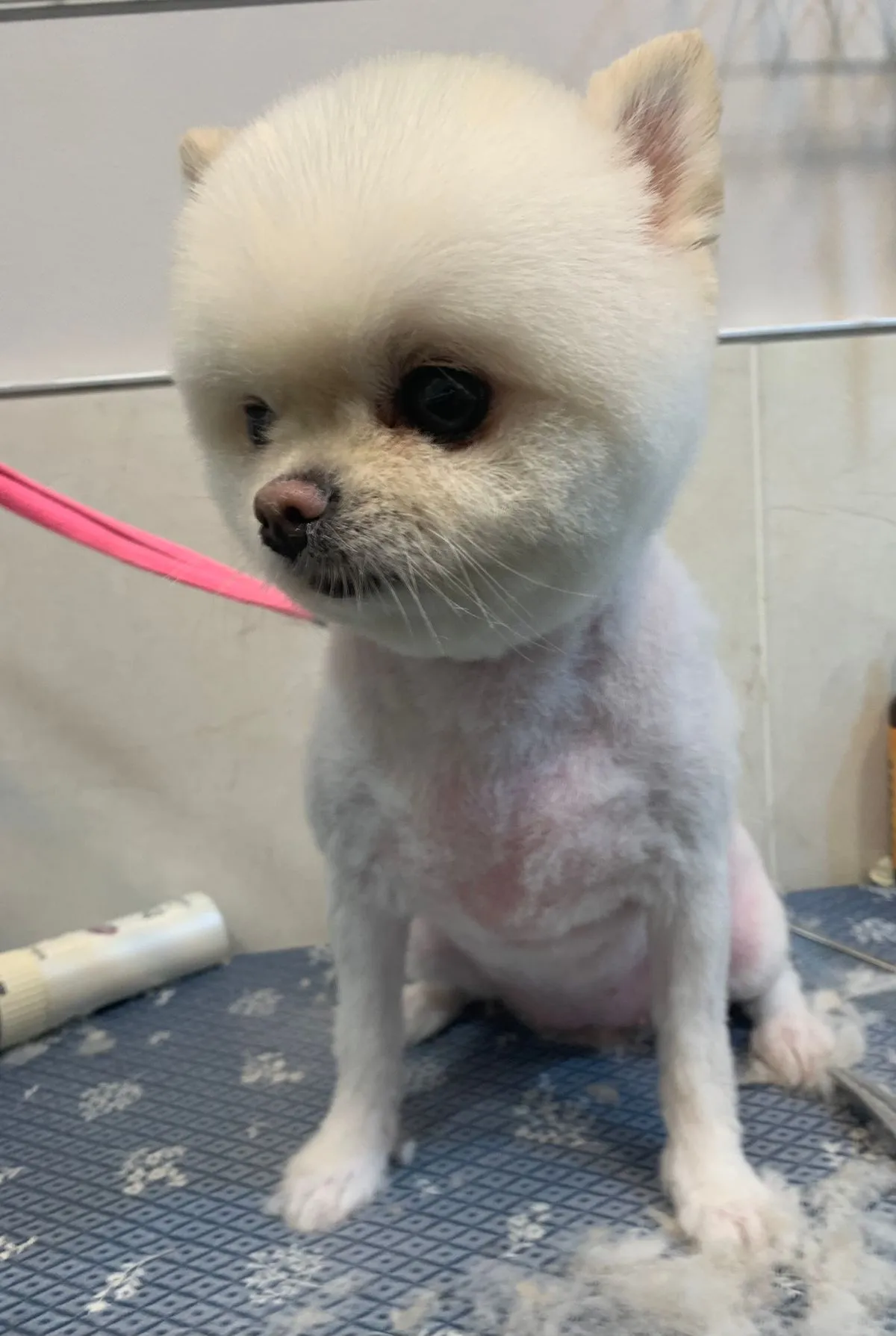 이미지 9