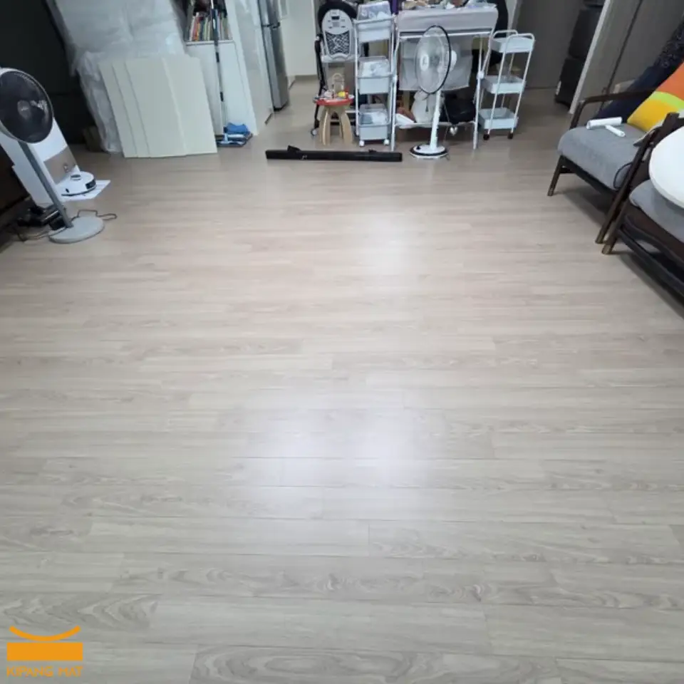 이미지 11
