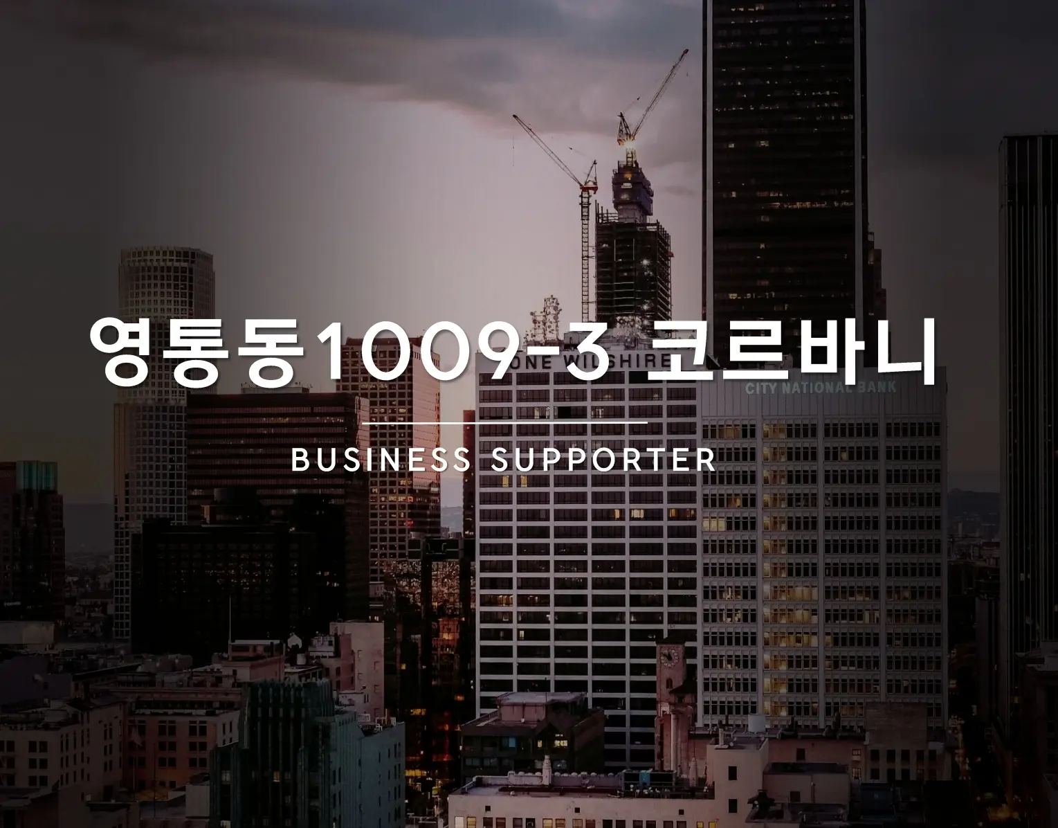 포트폴리오 이미지