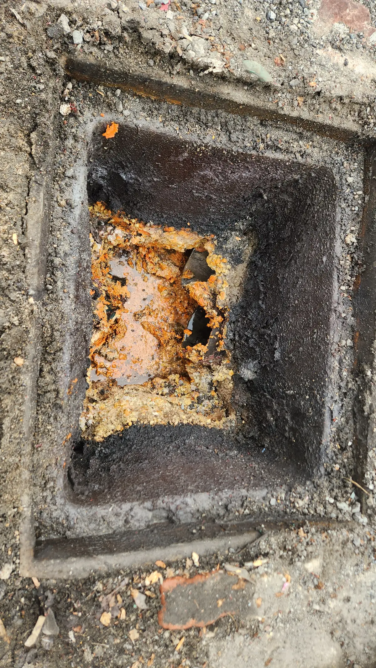 이미지 6