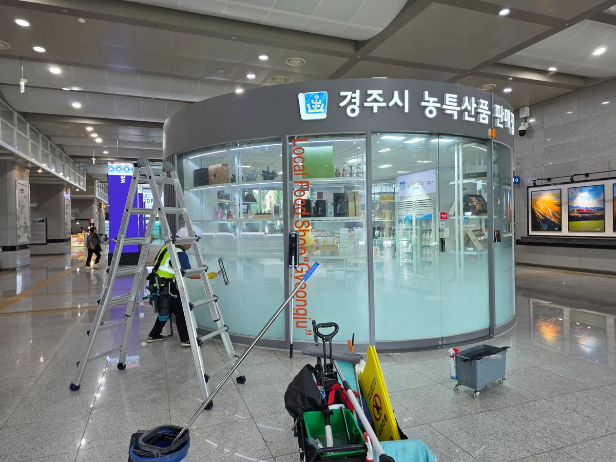 이미지 14