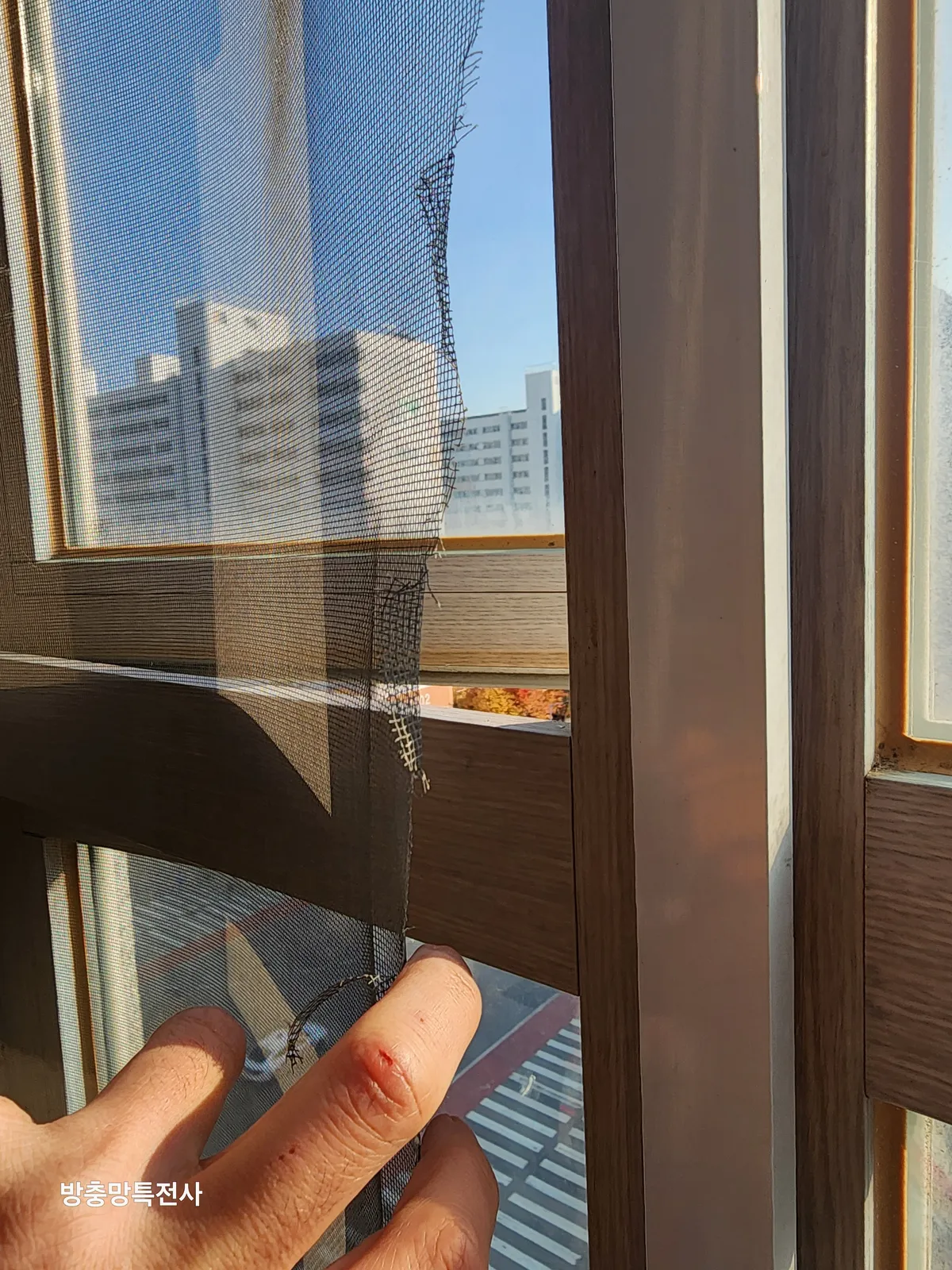 이미지 8