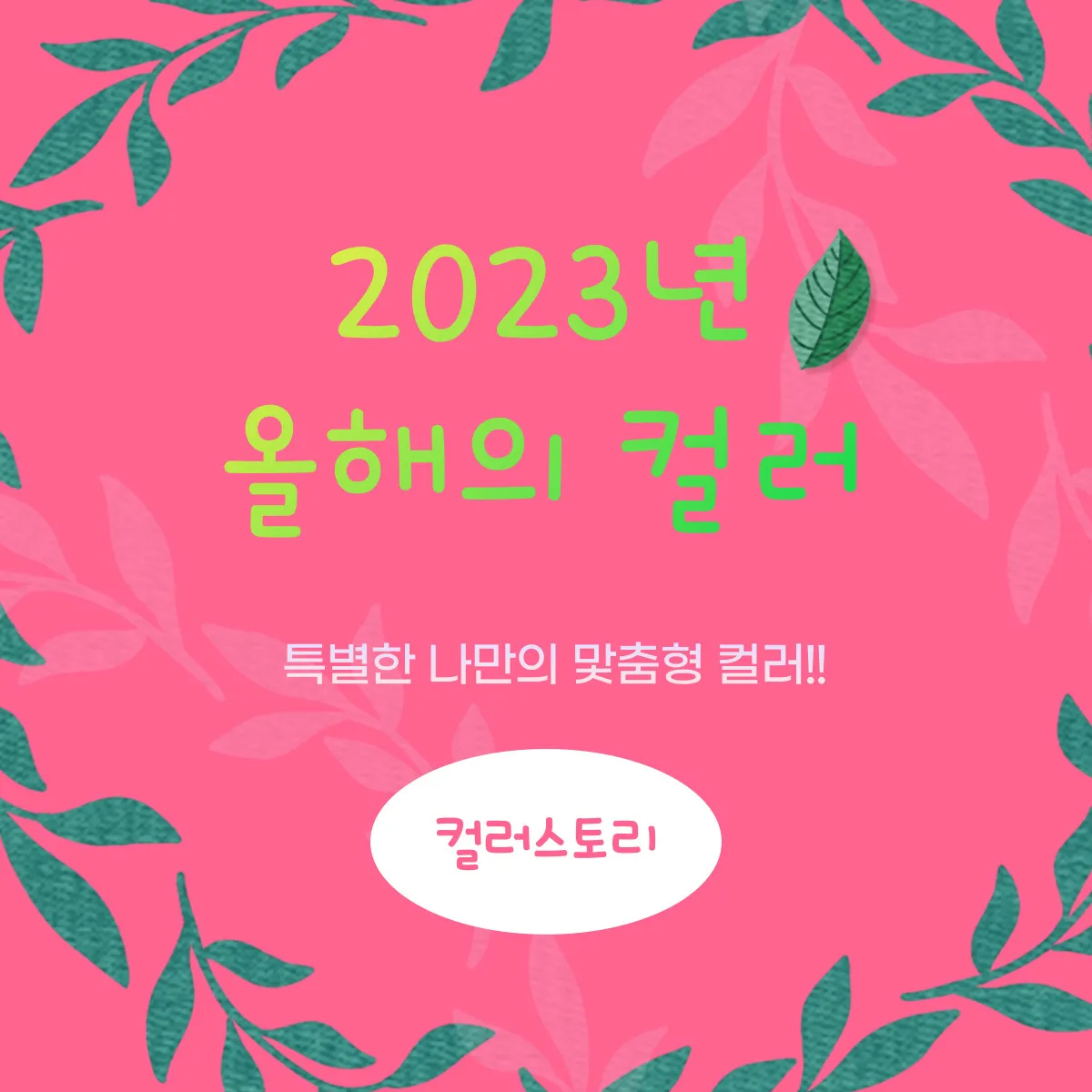 이미지 7