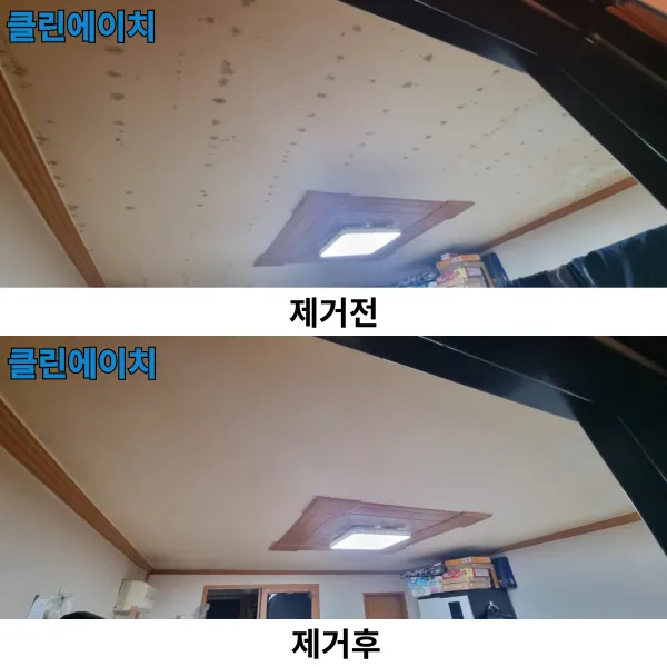 이미지 3