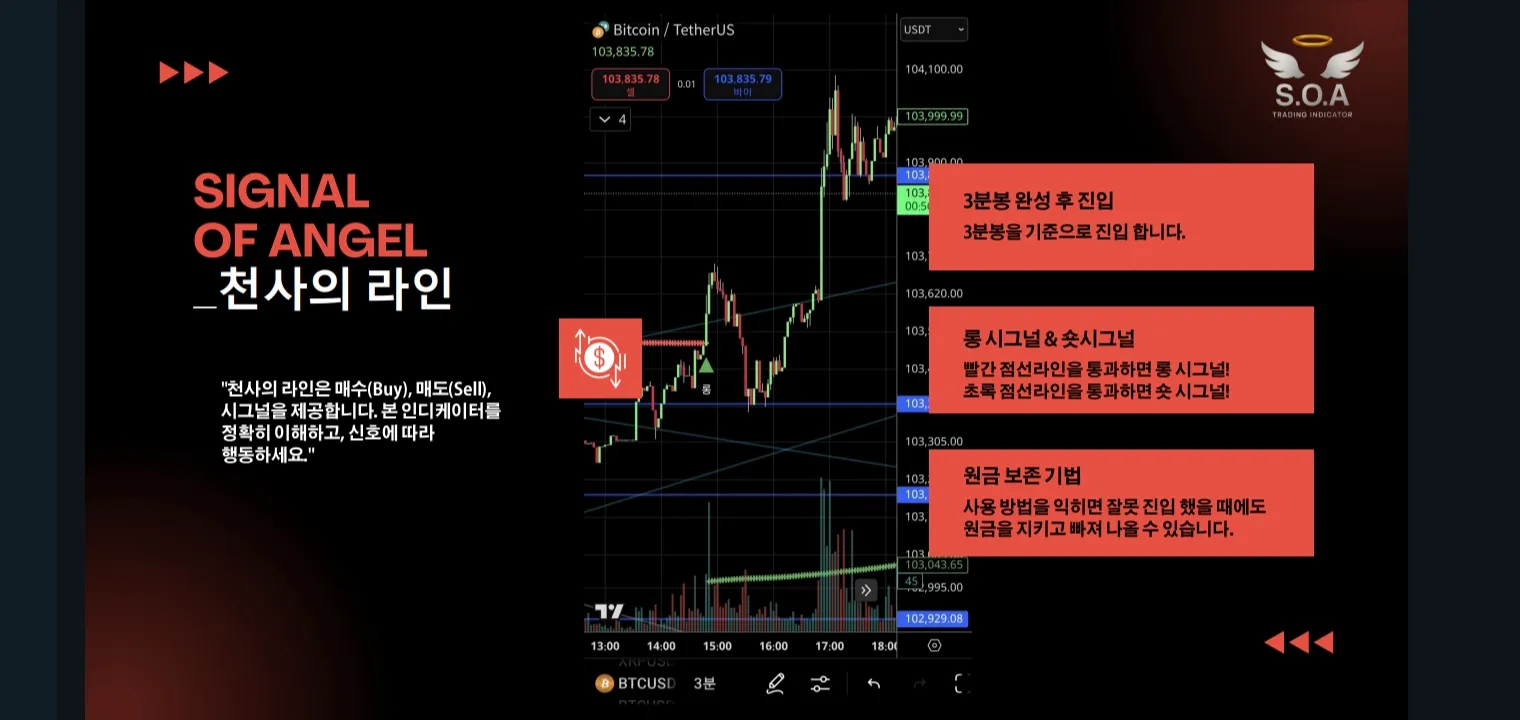 이미지 5