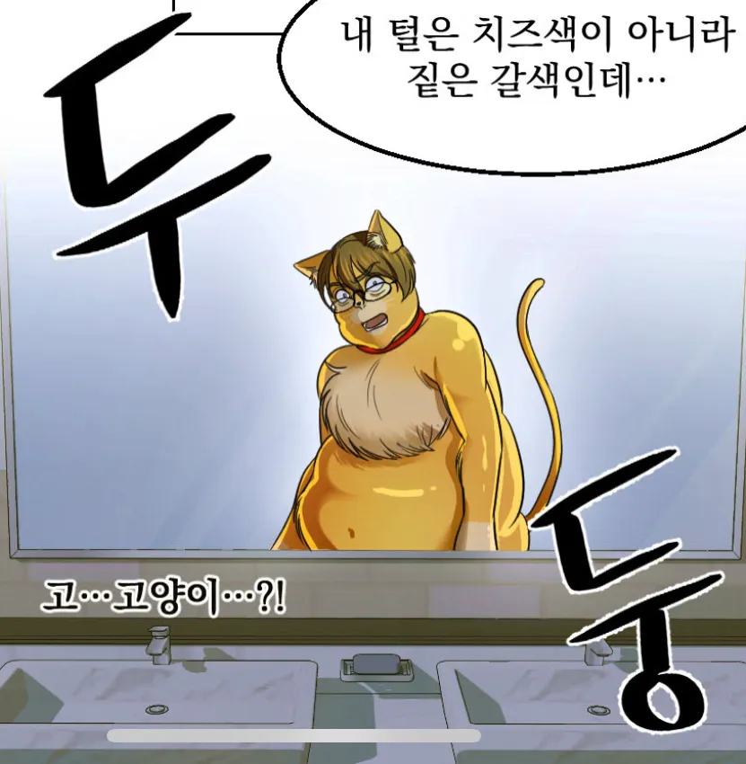 이미지 9