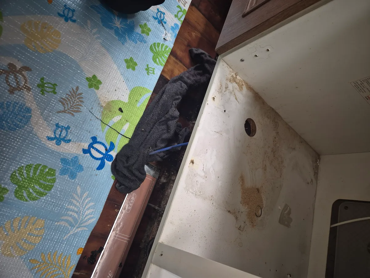 이미지 2