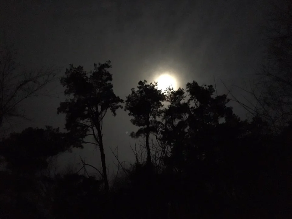 이미지 7
