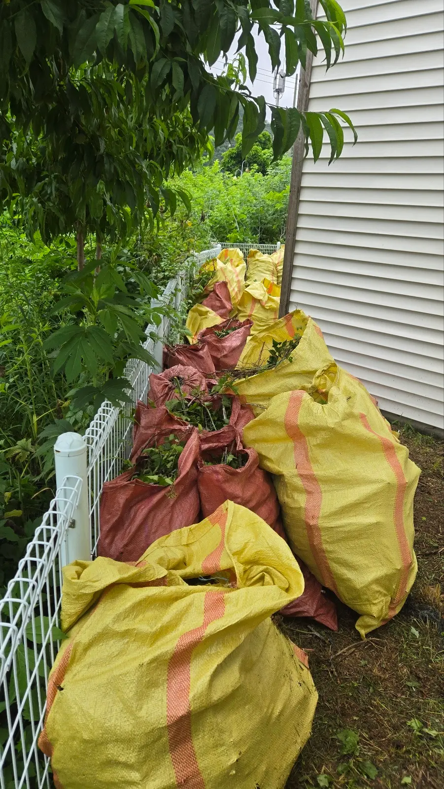이미지 7