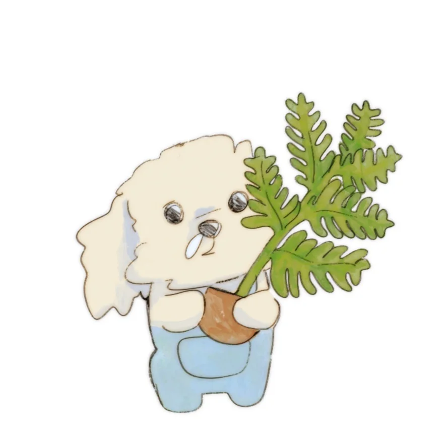 이미지 4