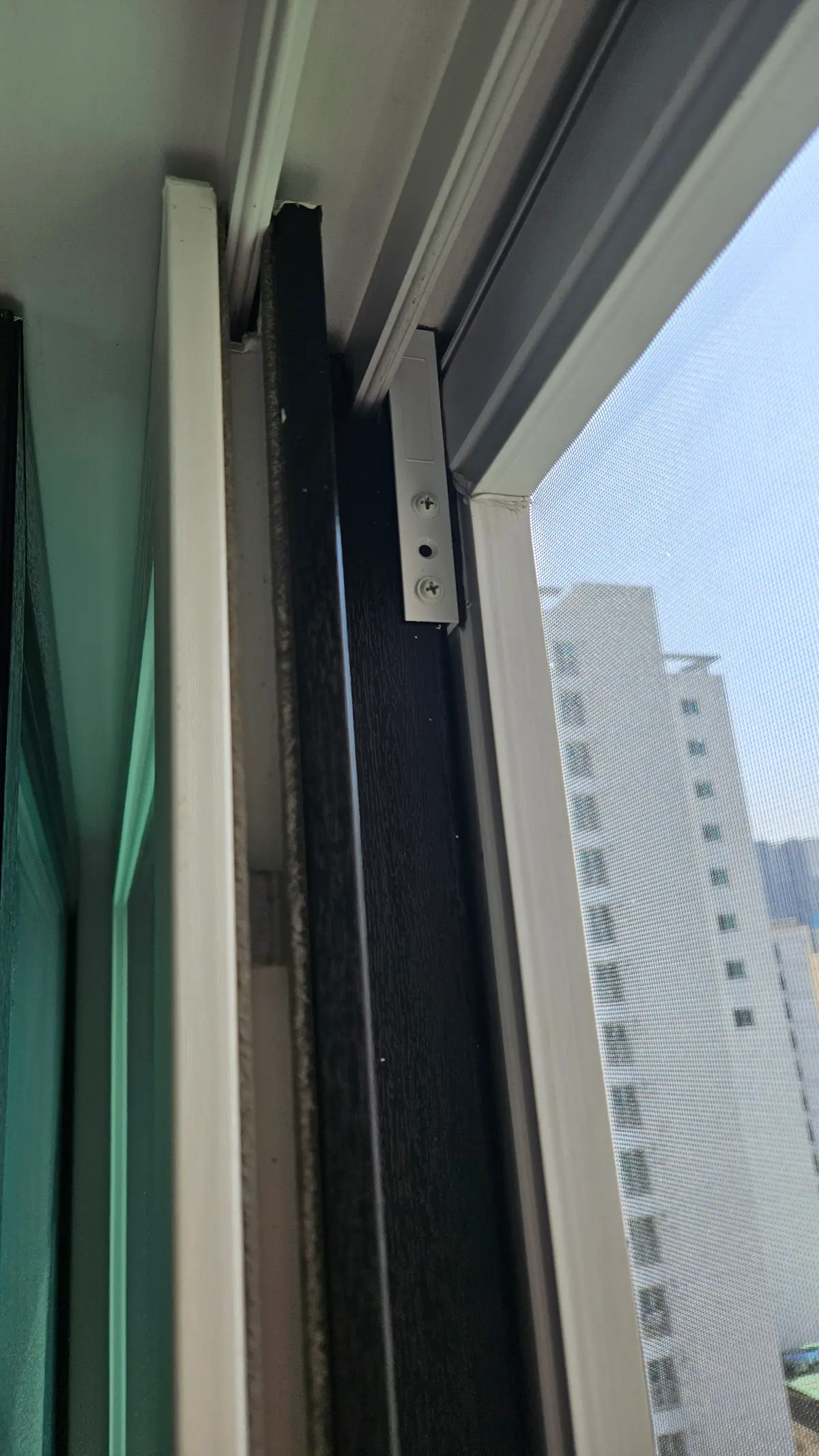 이미지 12