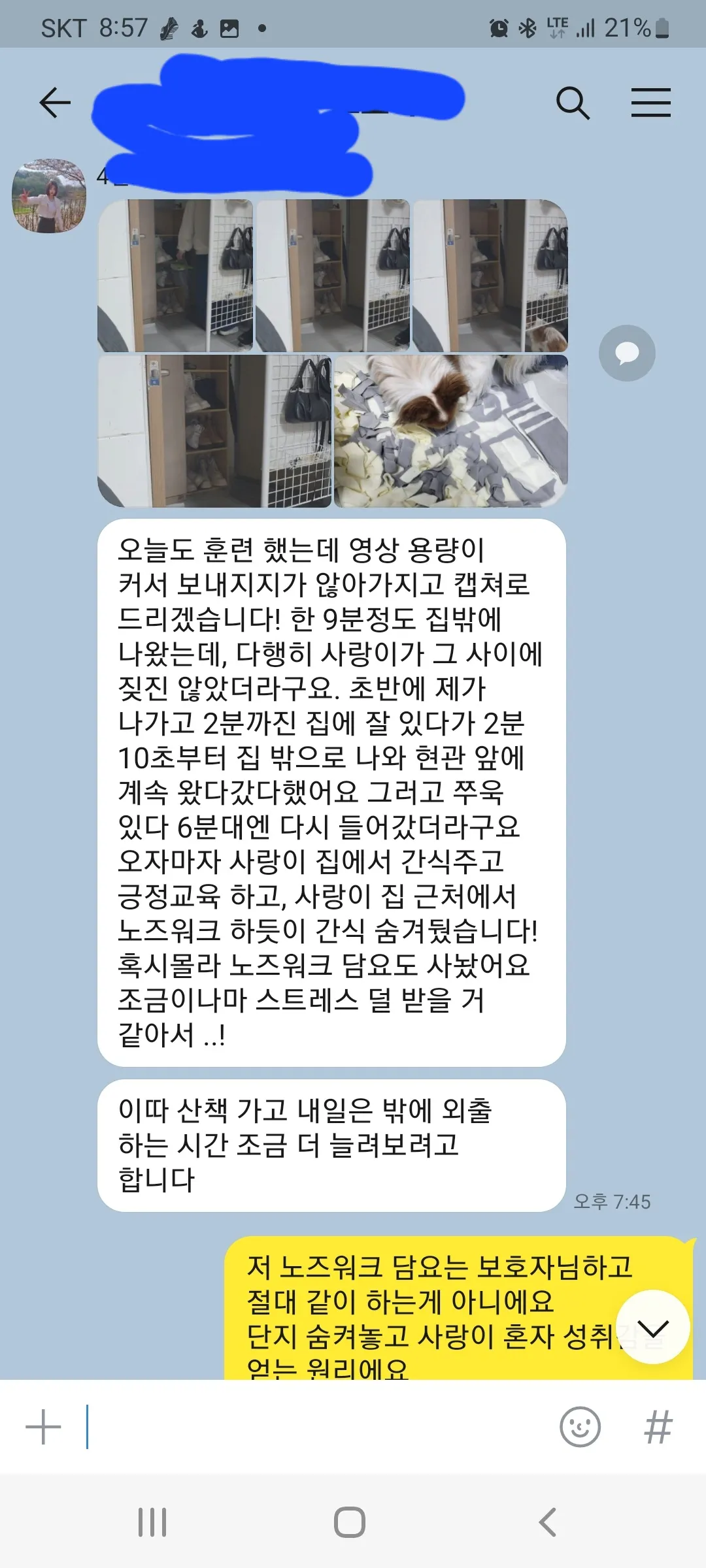 이미지 7