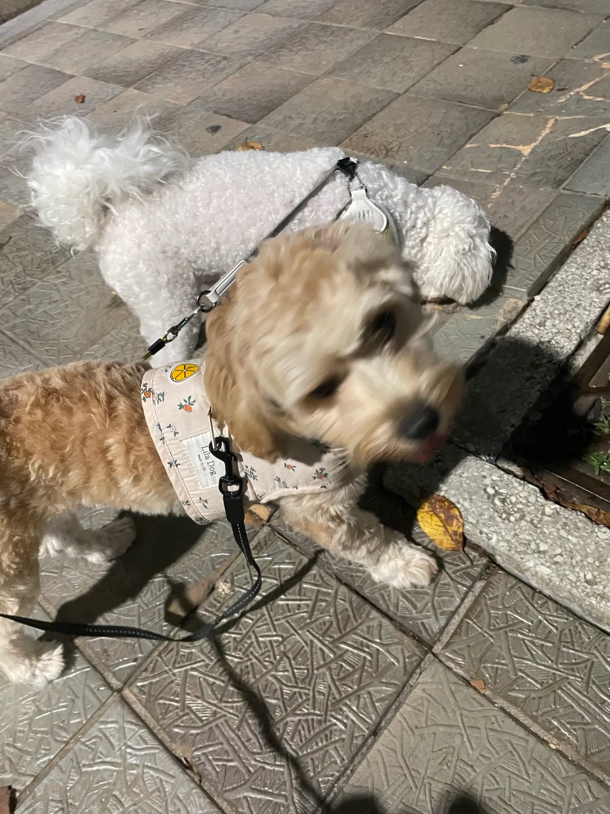 이미지 9