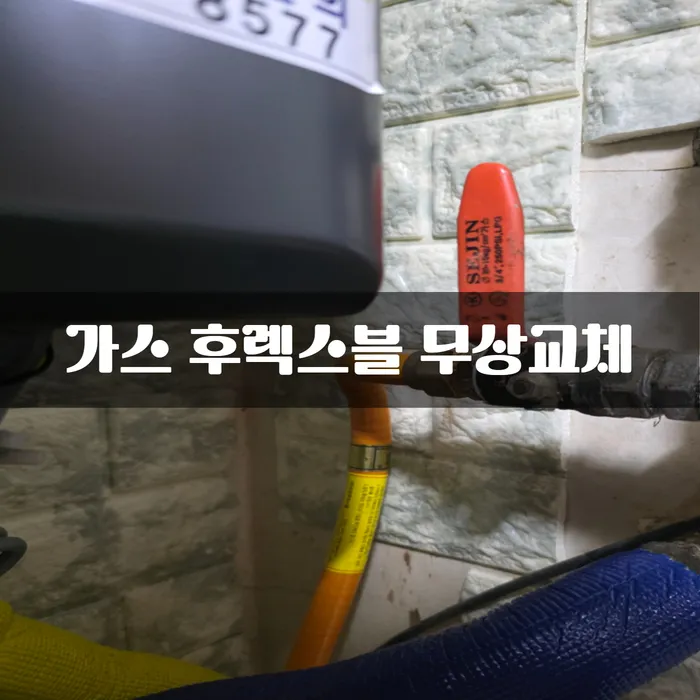 이미지 8