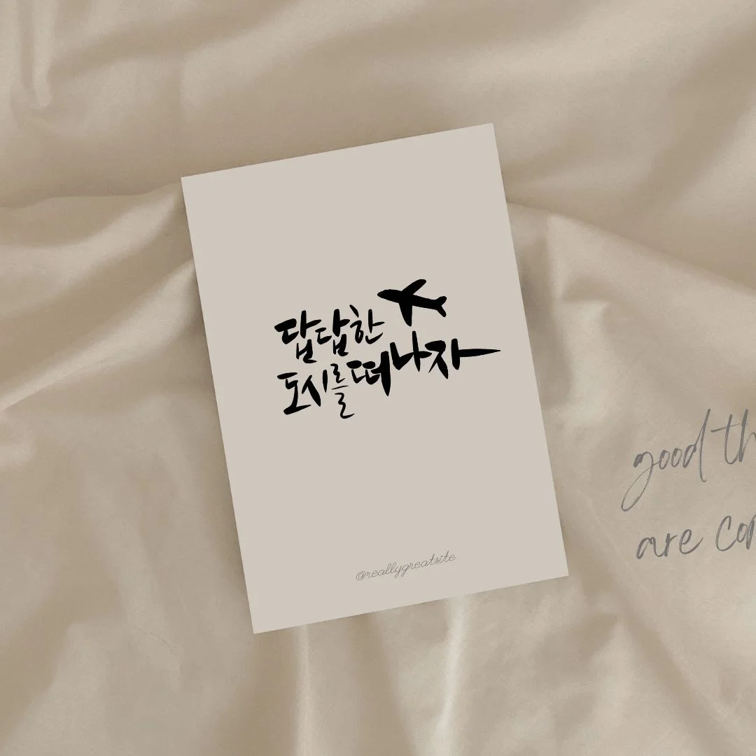 이미지 8