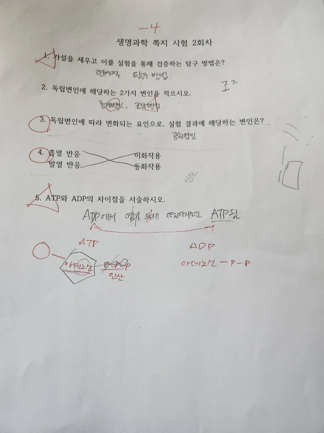 이미지 3