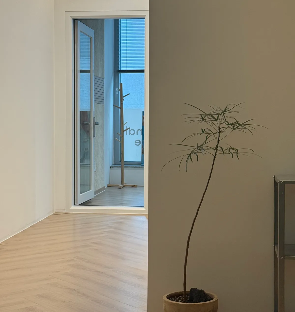 이미지 4