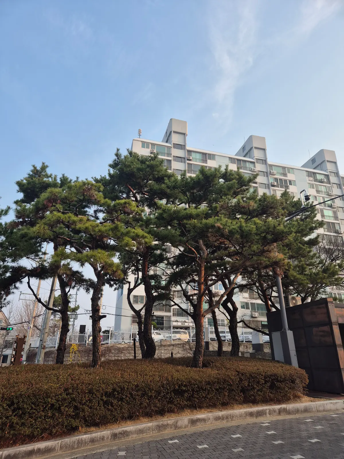 이미지 3