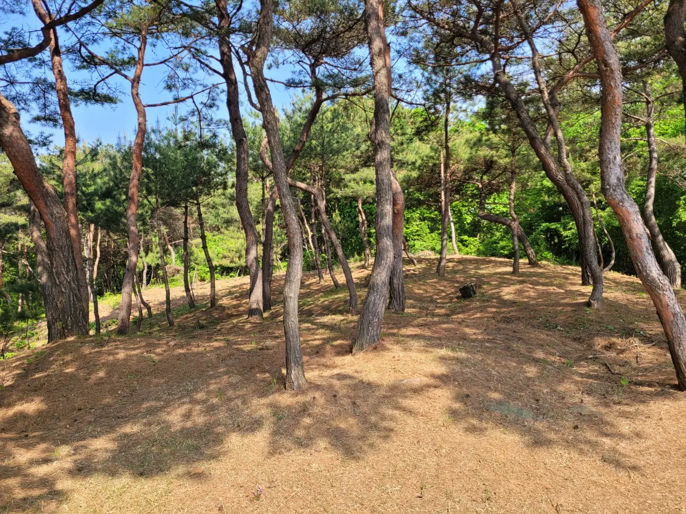 이미지 9