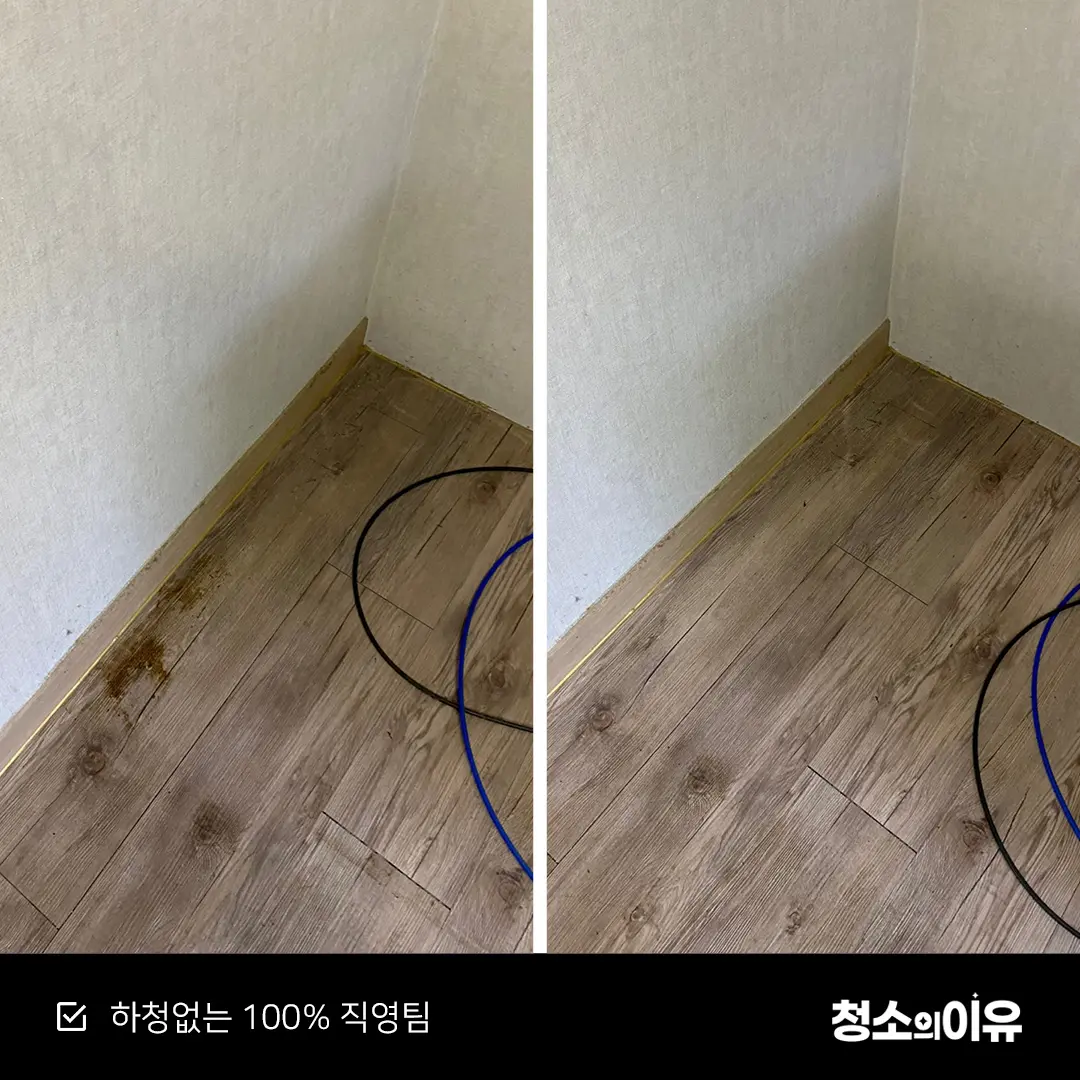 이미지 10