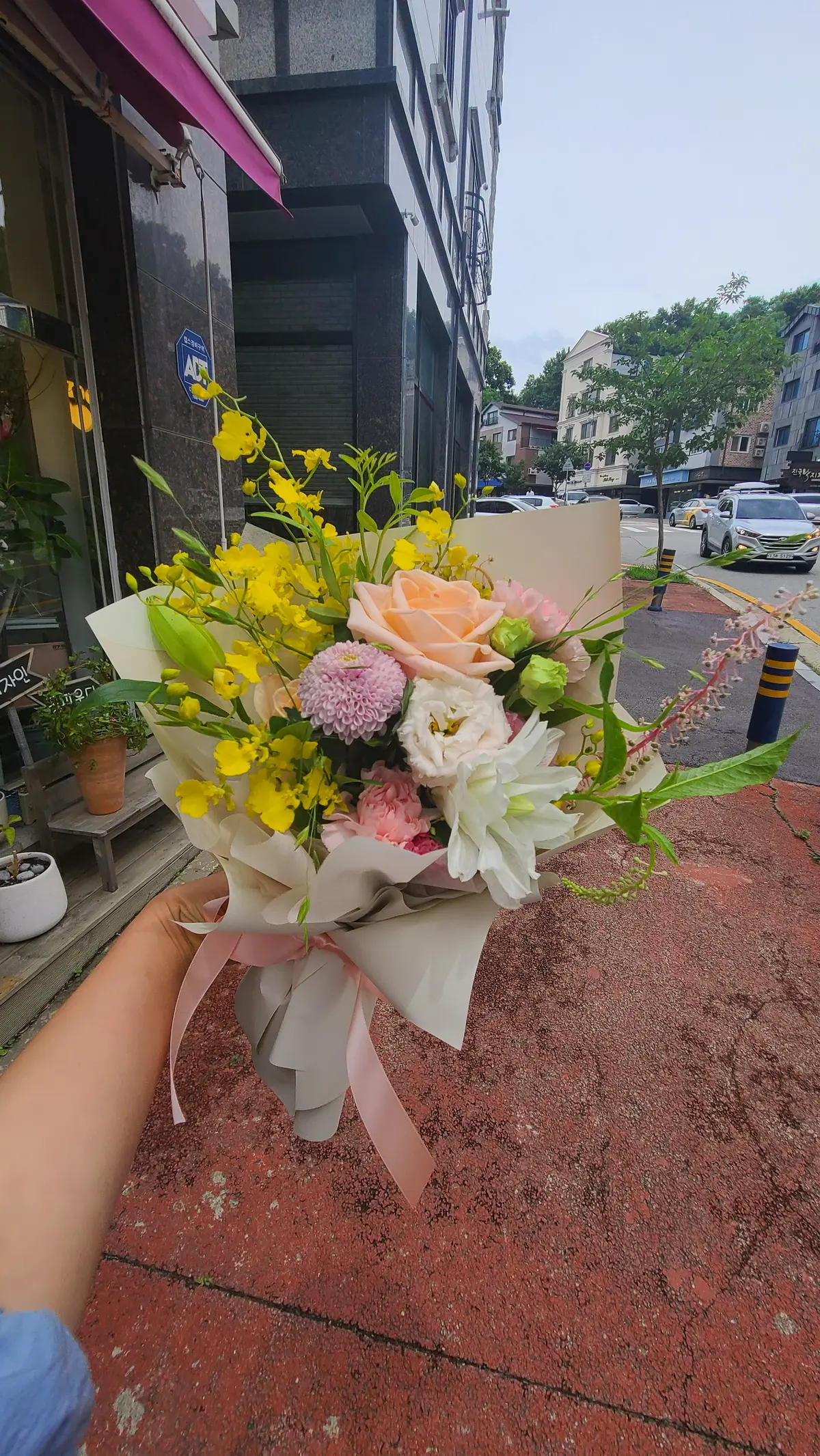 이미지 11