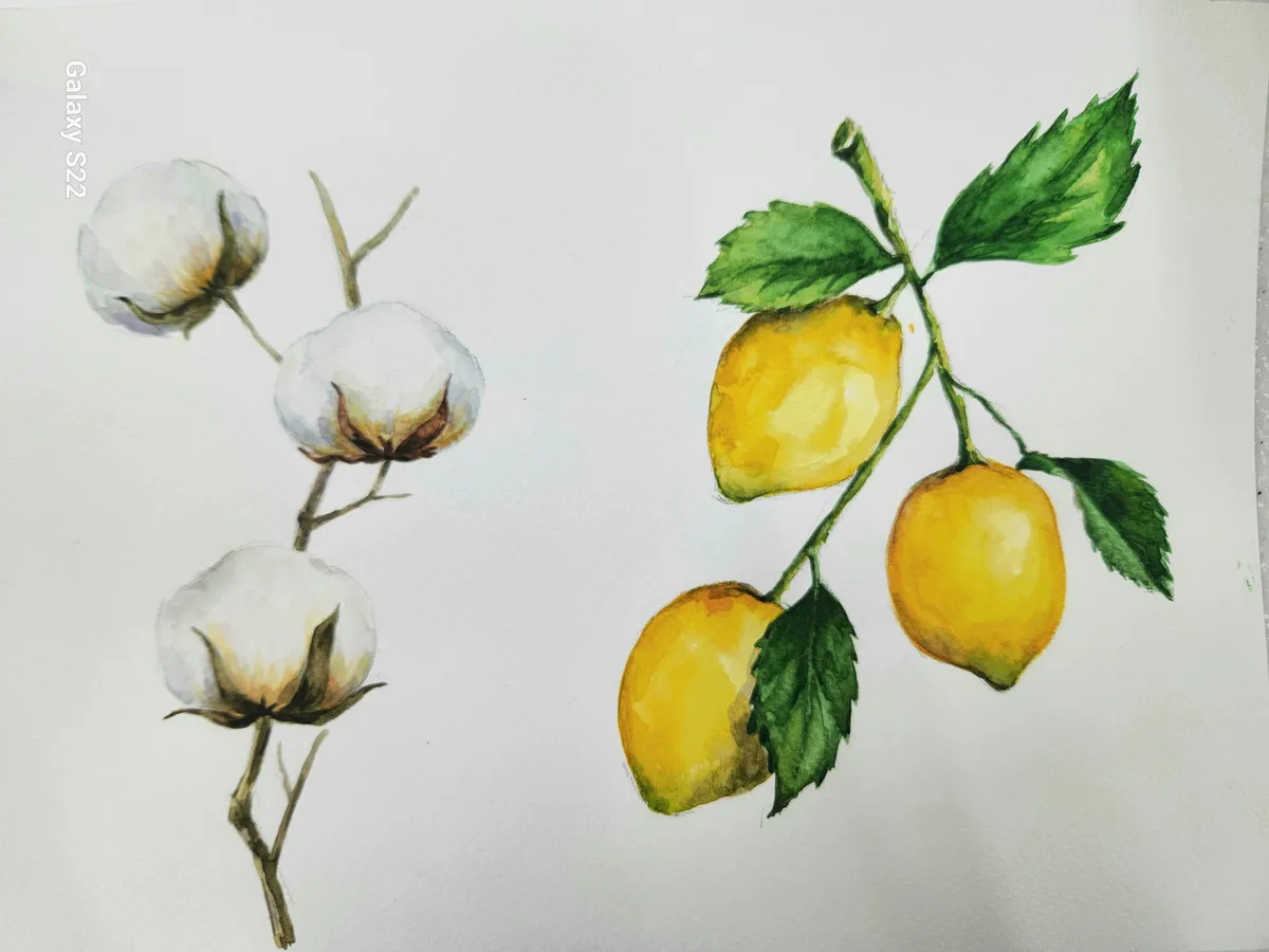 이미지 8