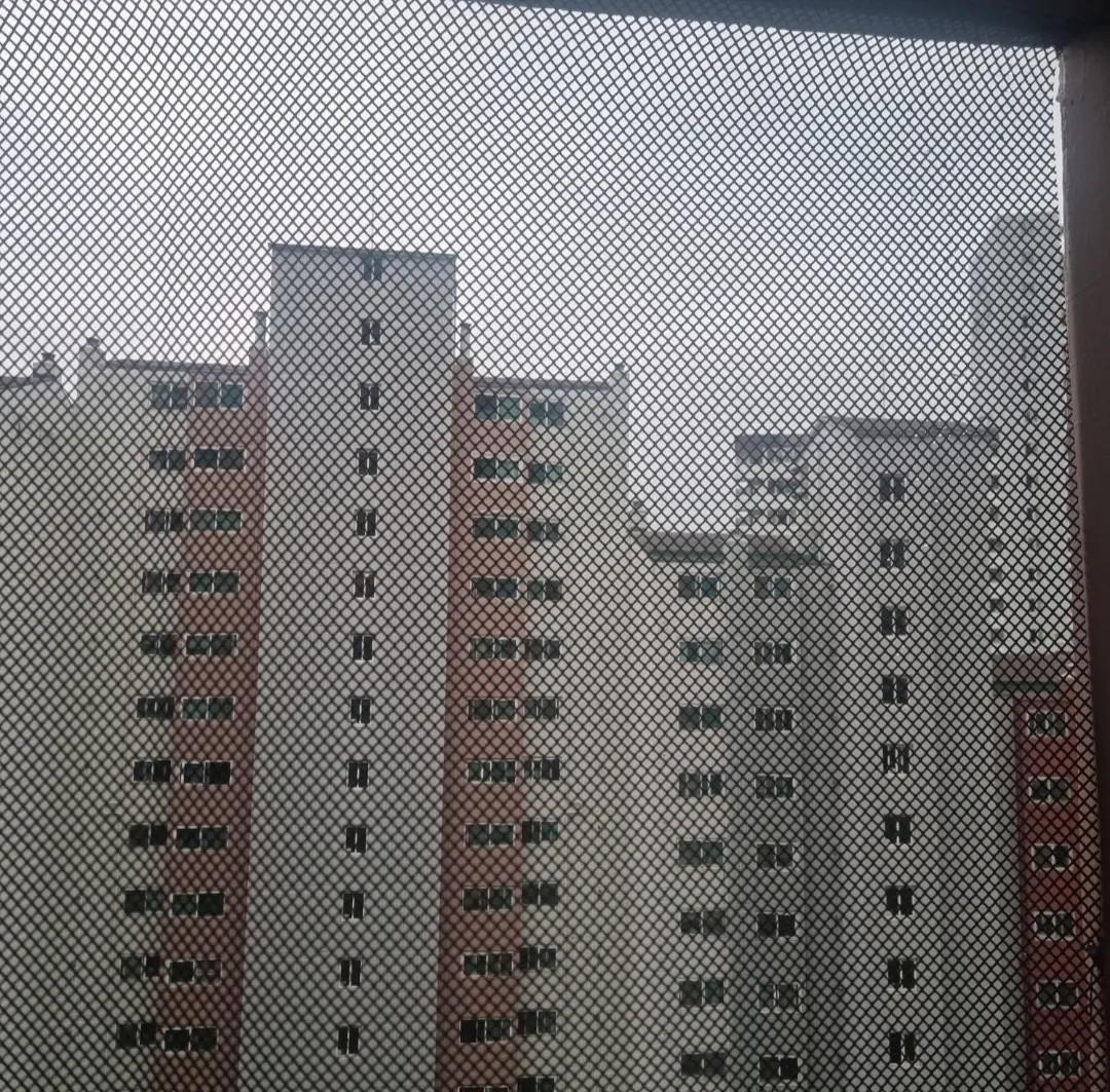 이미지 10