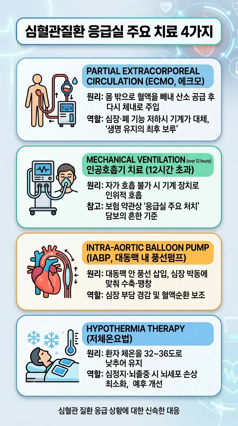이미지 7
