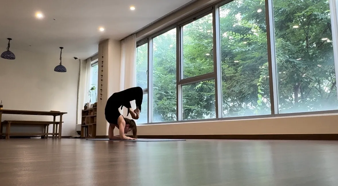 이미지 6