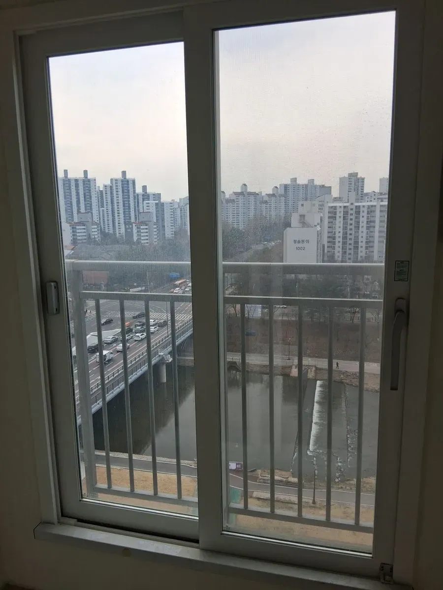 이미지 10