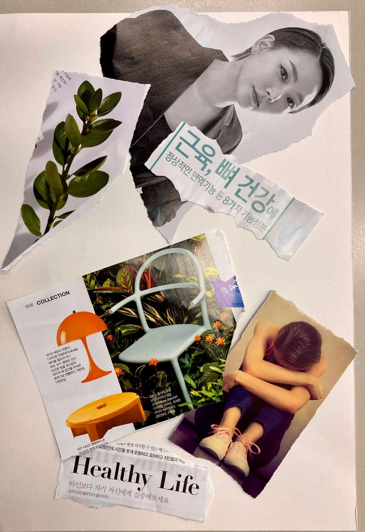 포트폴리오 이미지