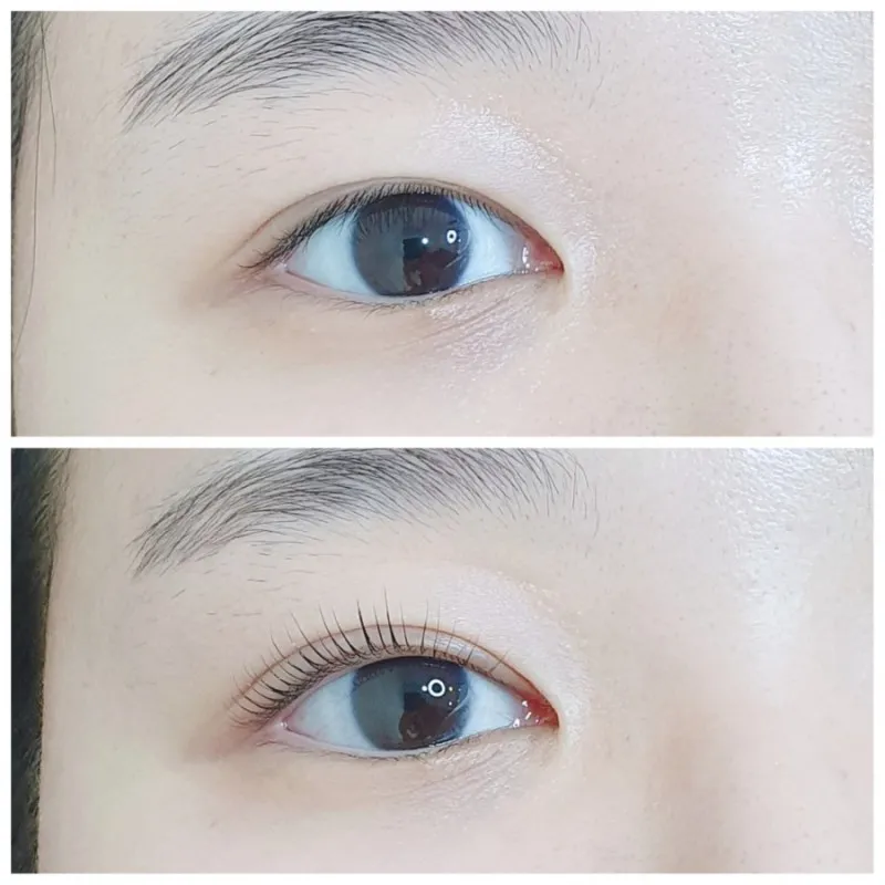 이미지 3