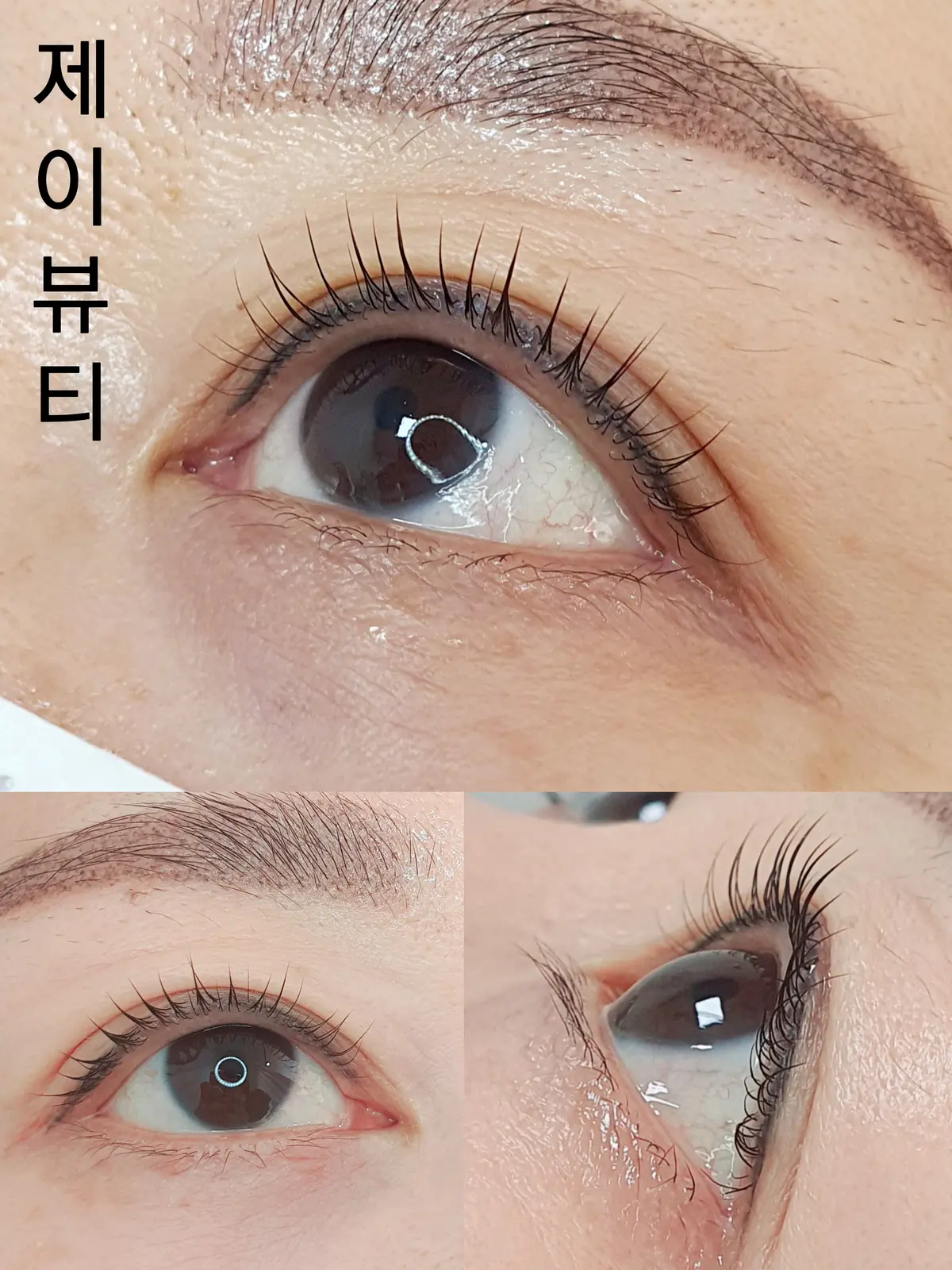 이미지 6