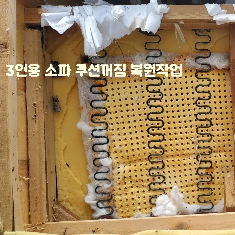 이미지 7