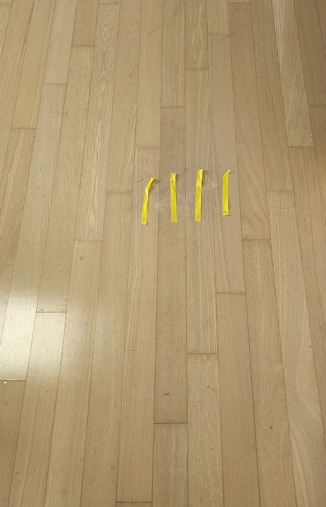 이미지 8