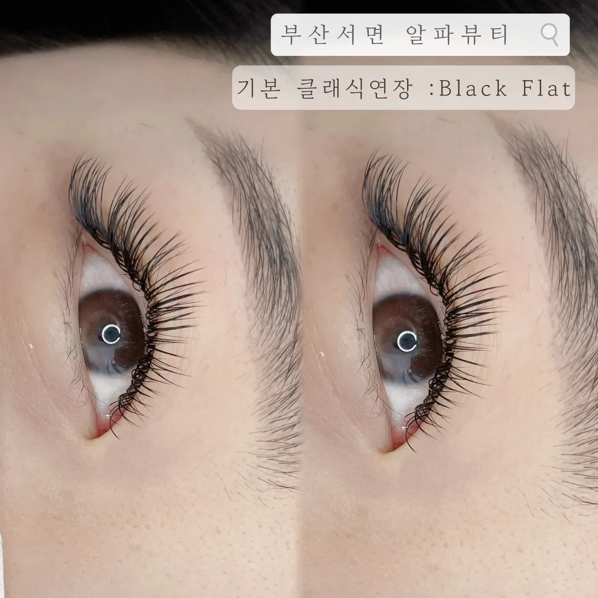 이미지 8